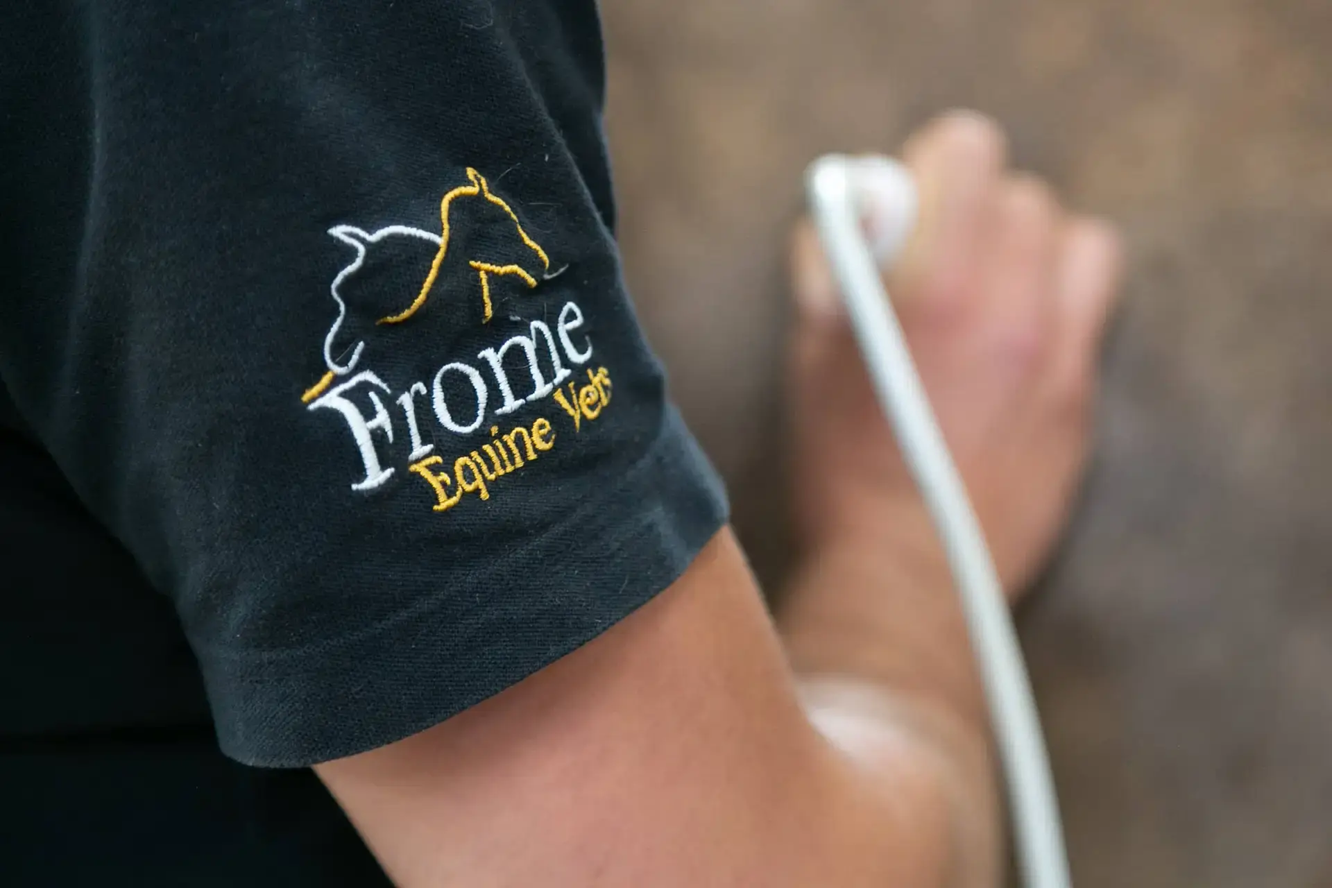 Frome Equine Vets practice photo 3