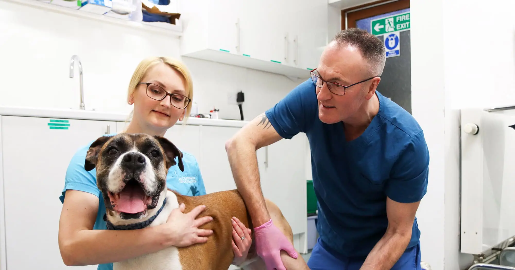 East of England Veterinary Specialists practice photo