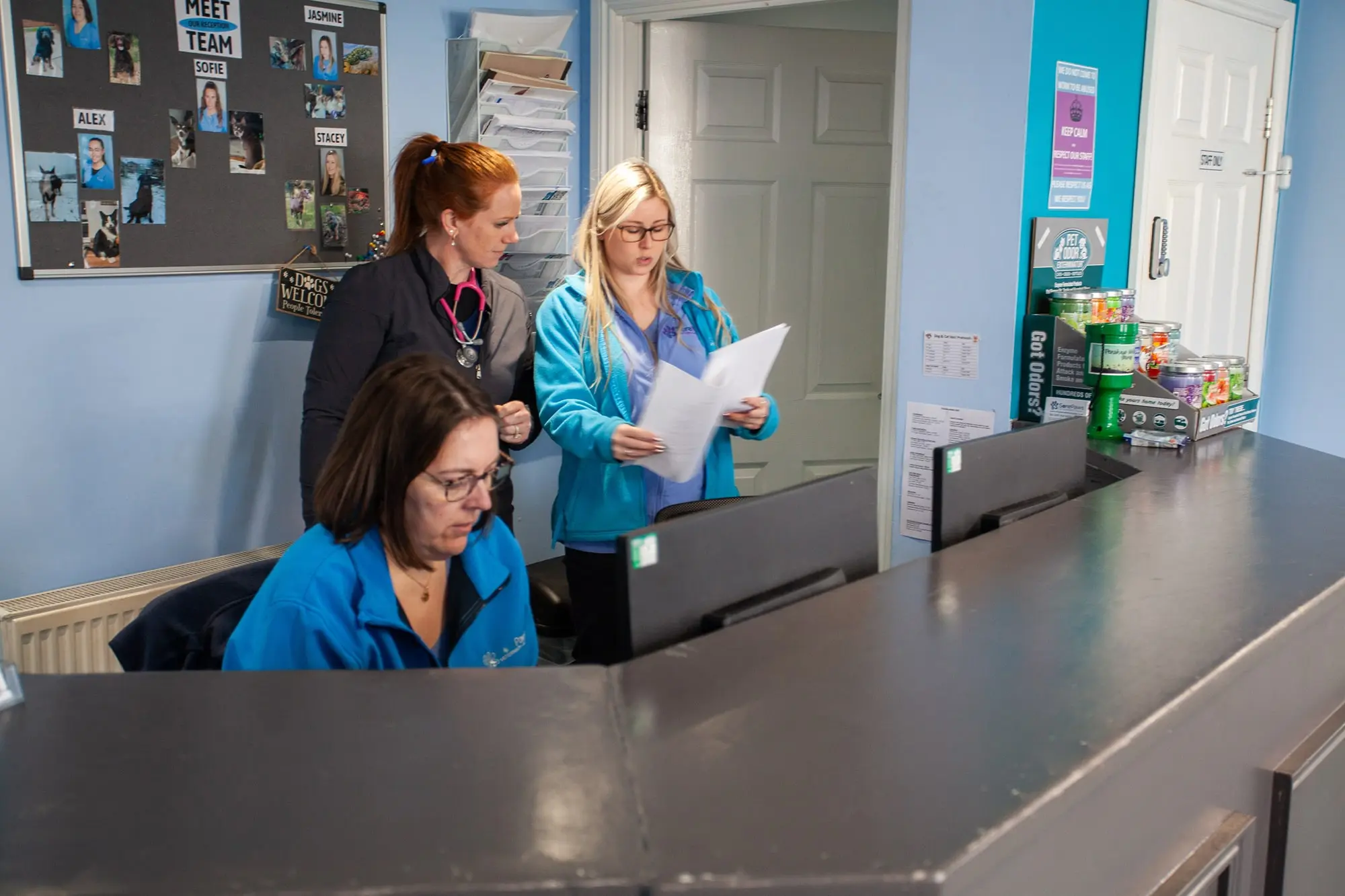 Sore Paws Veterinary Clinic - Winlaton practice photo