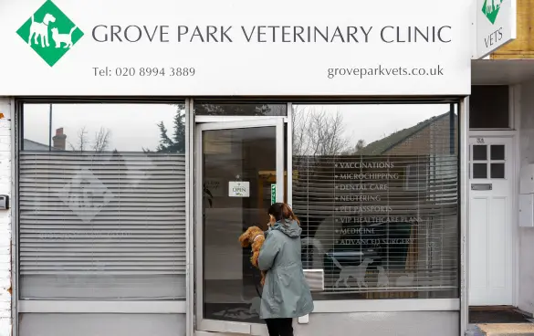 Grove Park Vet Clinic