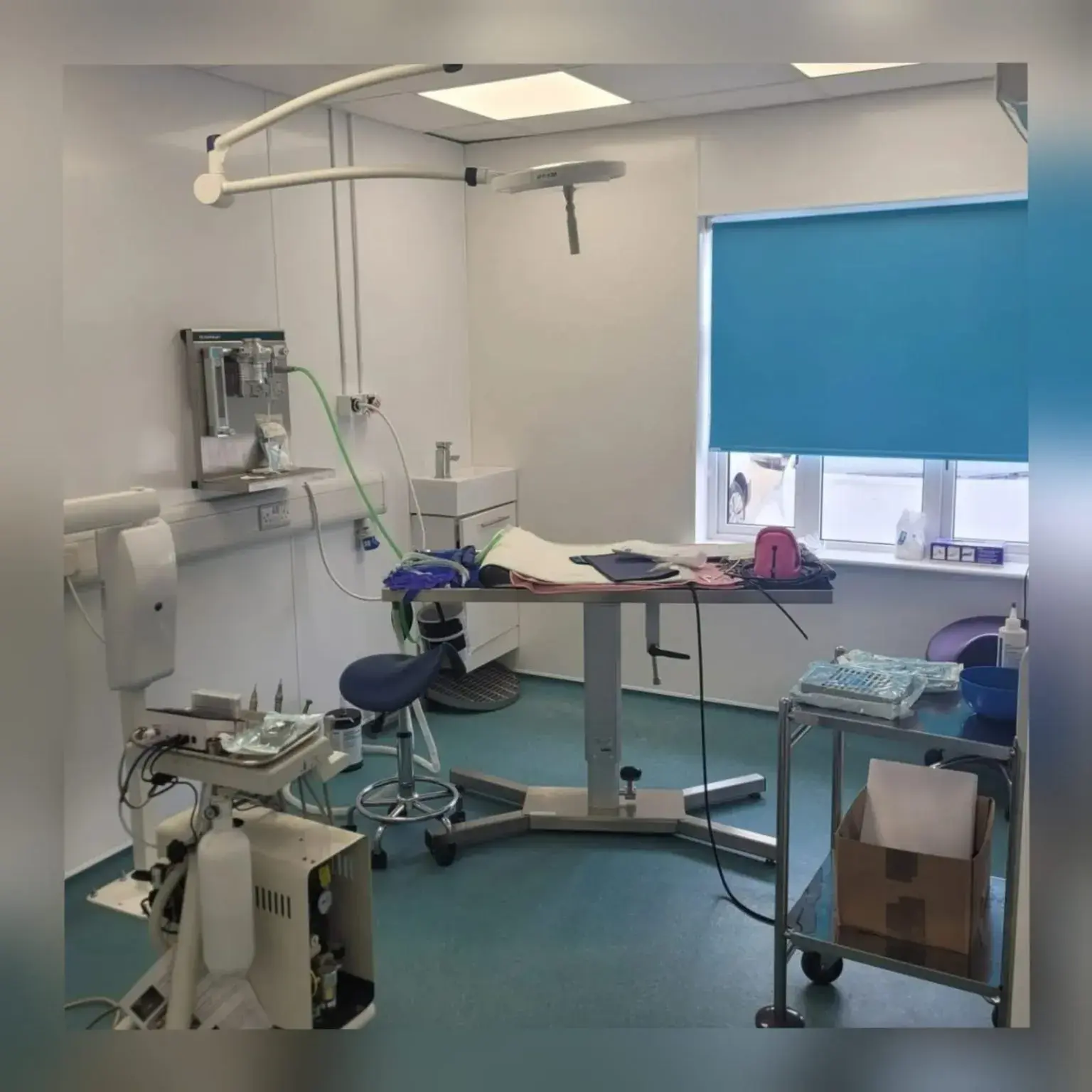 Rowan House Vets practice photo 3