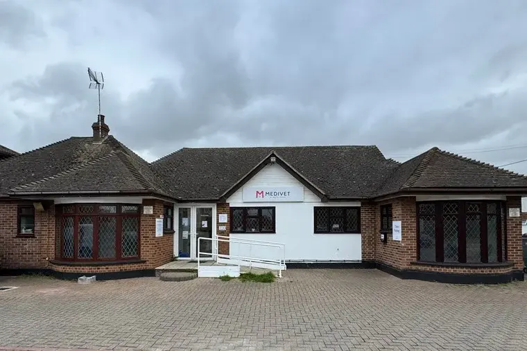 Medivet - Canvey Island practice photo
