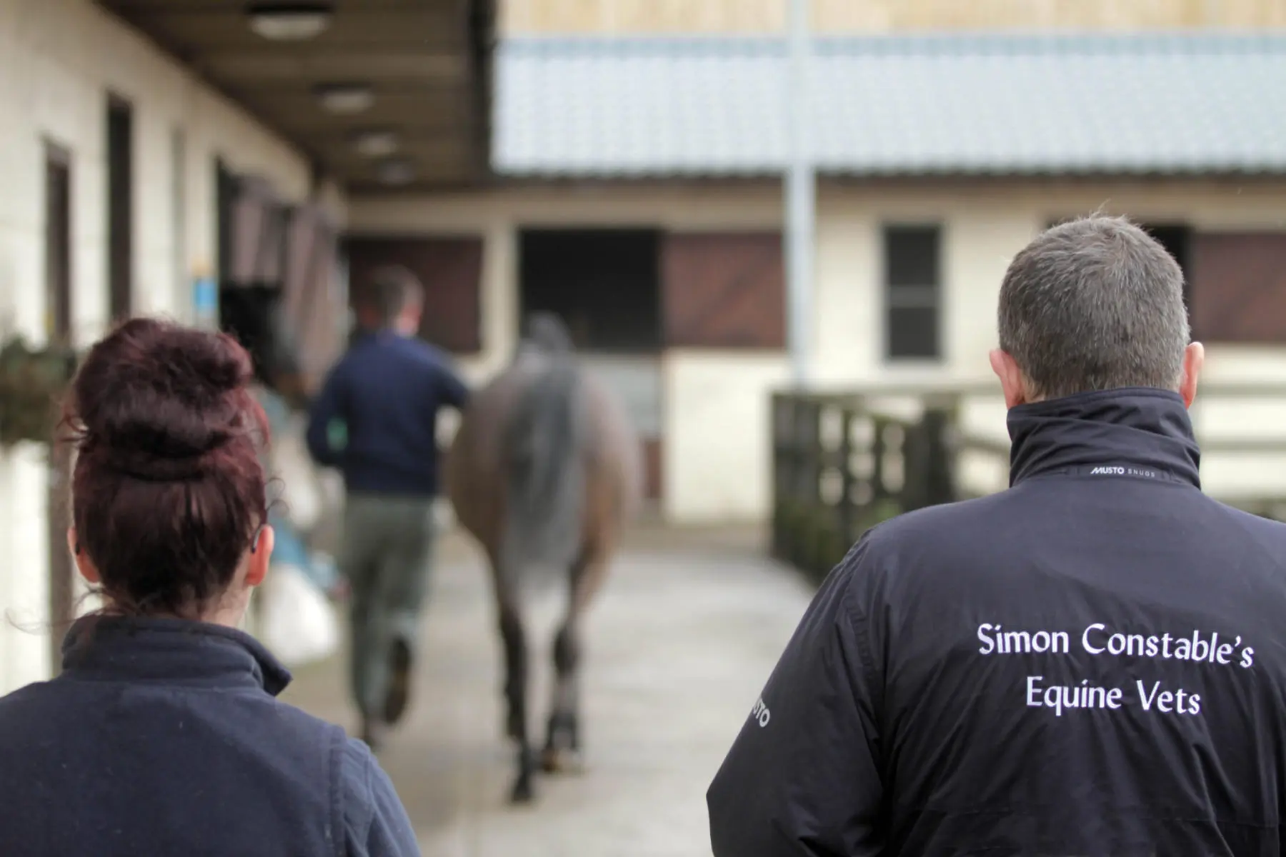 Simon Constable Equine Vets practice photo
