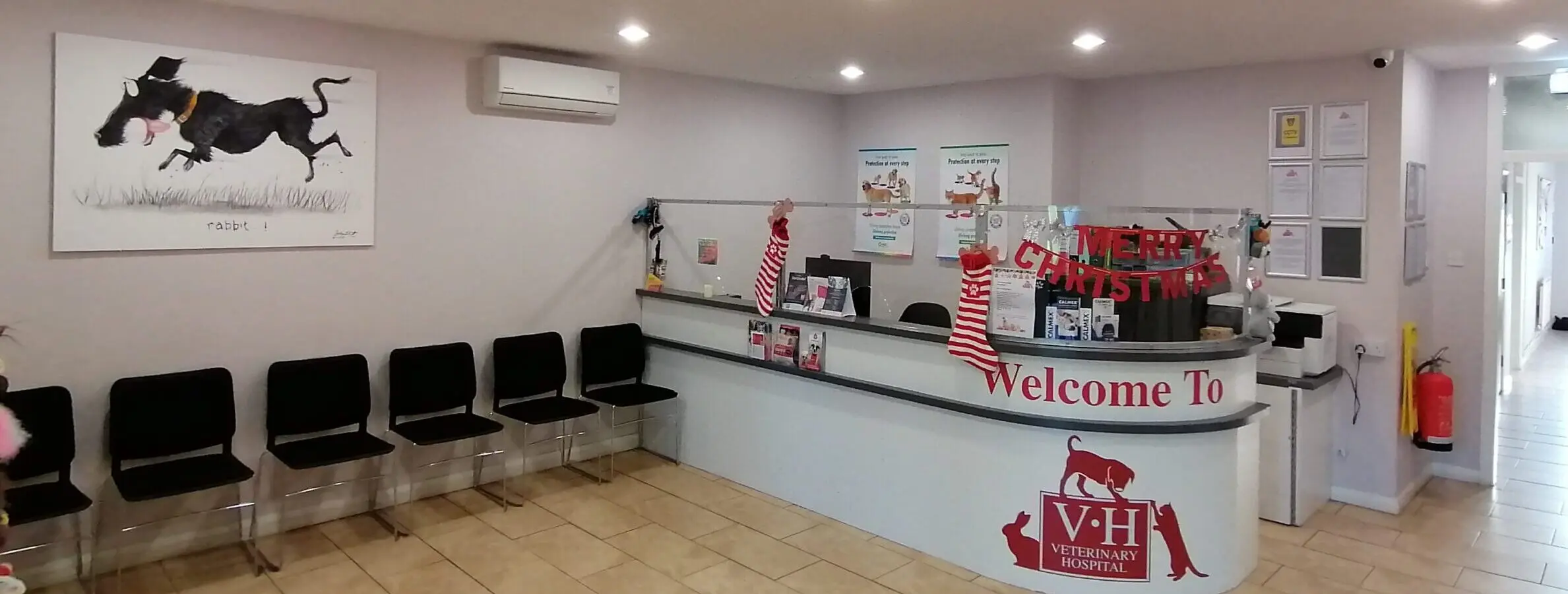 The Veterinary Hospital - Skellingthorpe practice photo