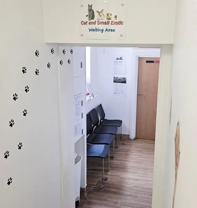 Medivet - Greenwich practice photo