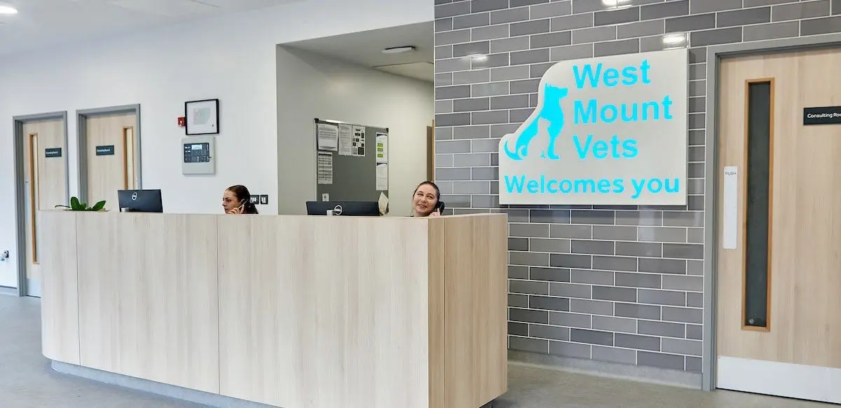 West Mount Veterinary Centre Huddersfield practice photo
