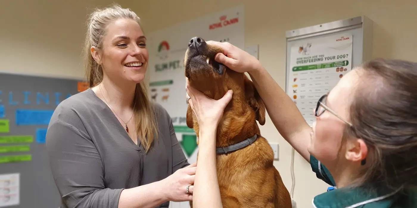 Orchard Veterinary Group practice photo 3