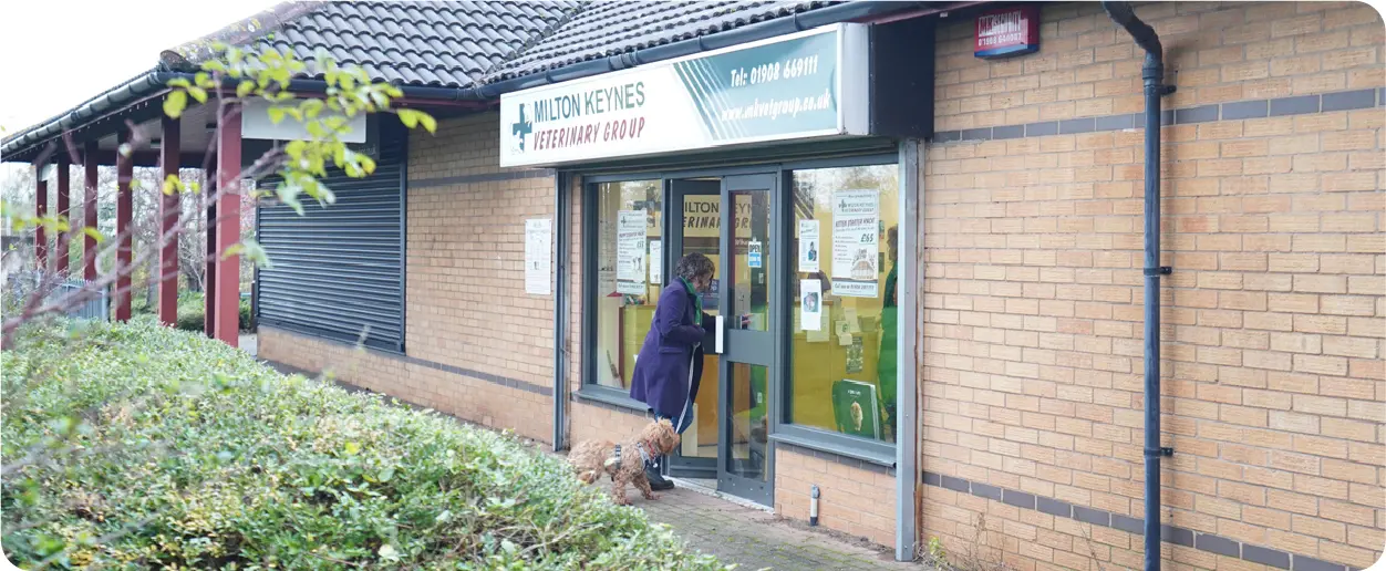 outside of willen surgery