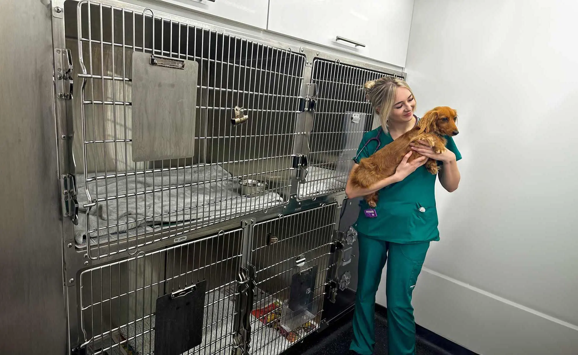 Oathall Veterinary Group practice photo 2