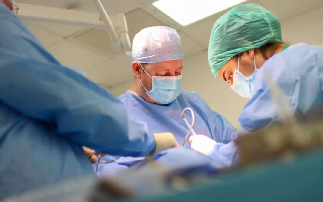 Lumbry Park Veterinary Specialists celebrates 10th Anniversary with exclusive veterinary event