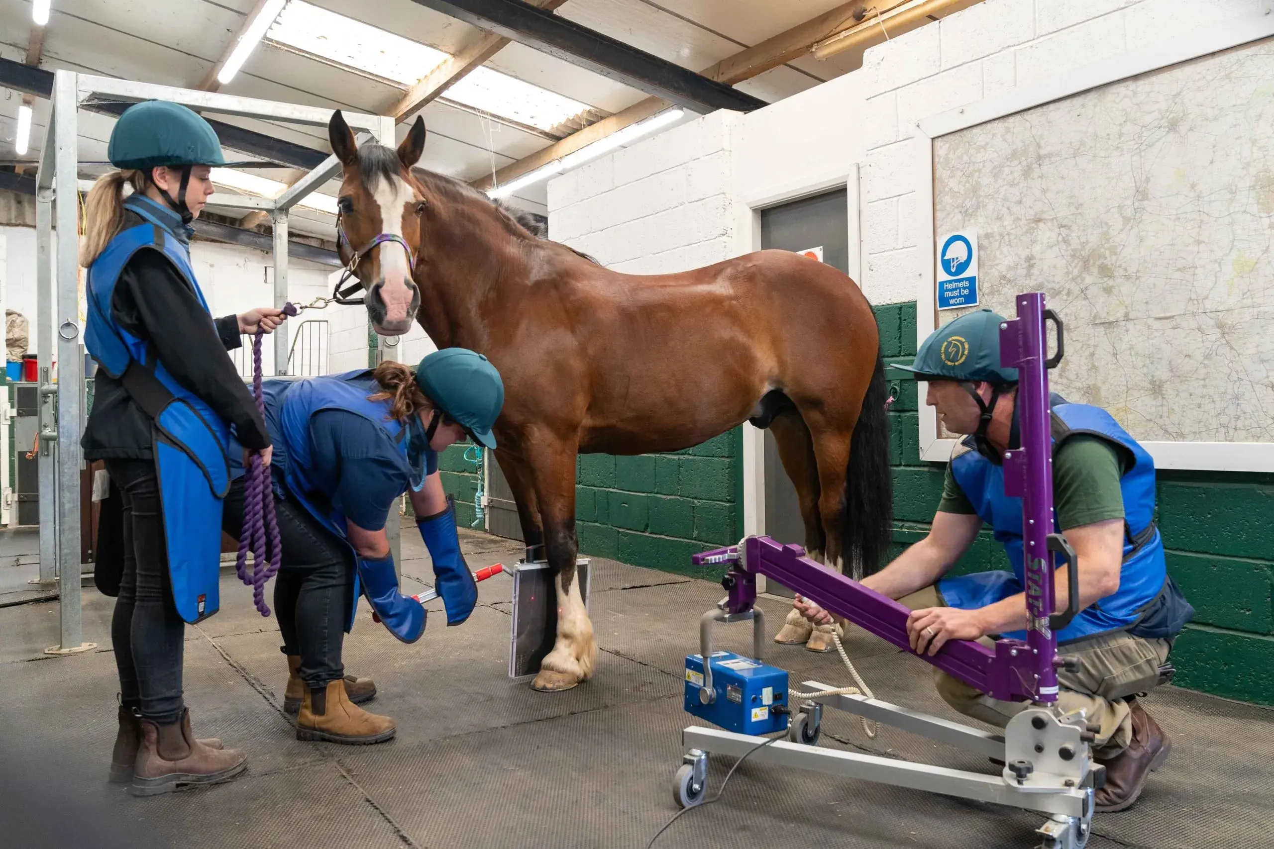 Equine Veterinary Centre practice photo