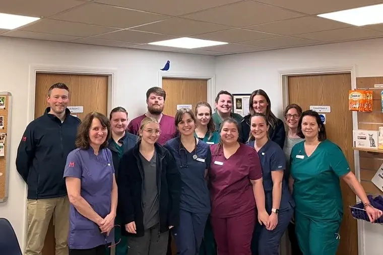 Medivet - 24 hour Wokingham (Kynoch Vets) practice photo