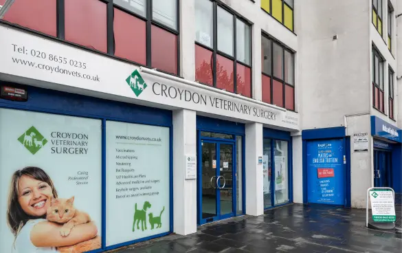 Croydon Vets