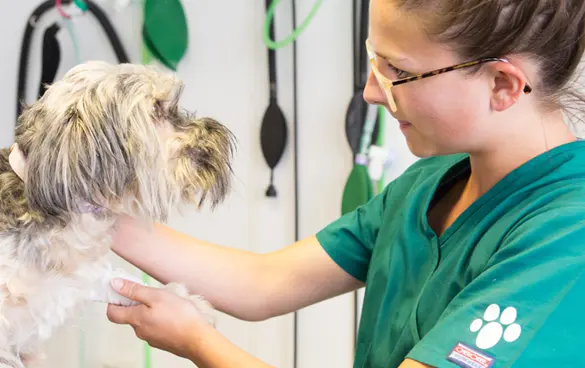 DNA Vetcare - Mead Veterinary Centre practice photo 4