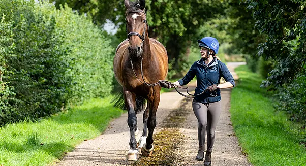 Rossdales Veterinary Surgeons - Newmarket Practice practice photo 4