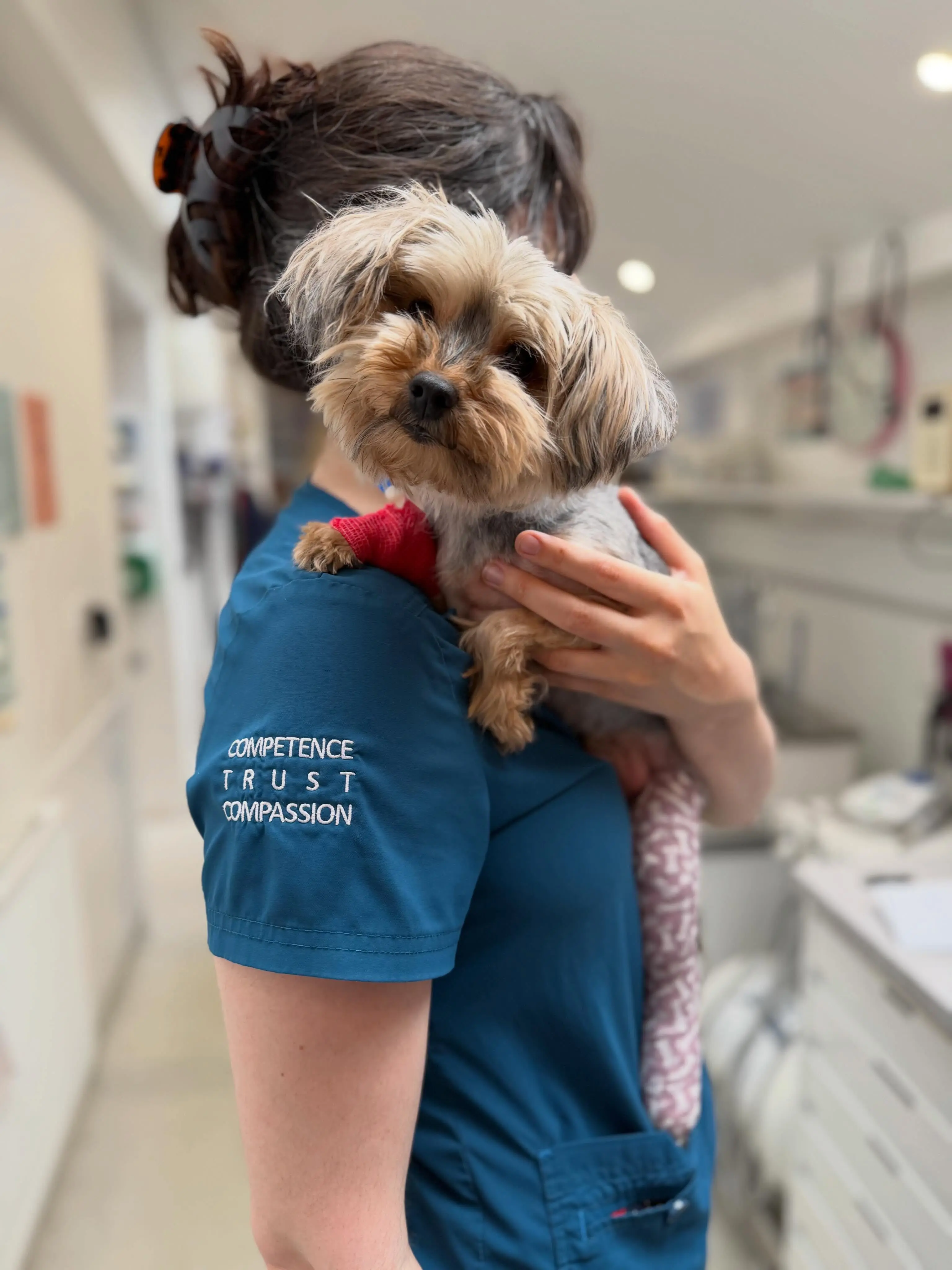 The London Vet