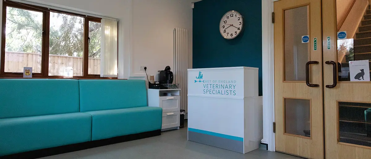 East of England Veterinary Specialists practice photo 2