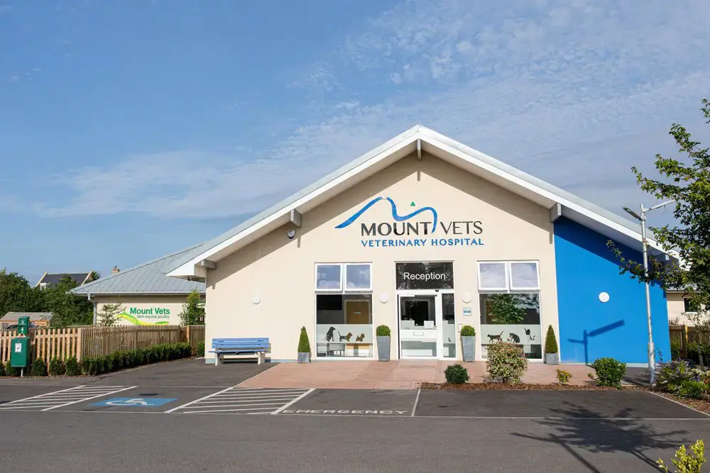 Mount Veterinary Hospital - Wellington practice photo