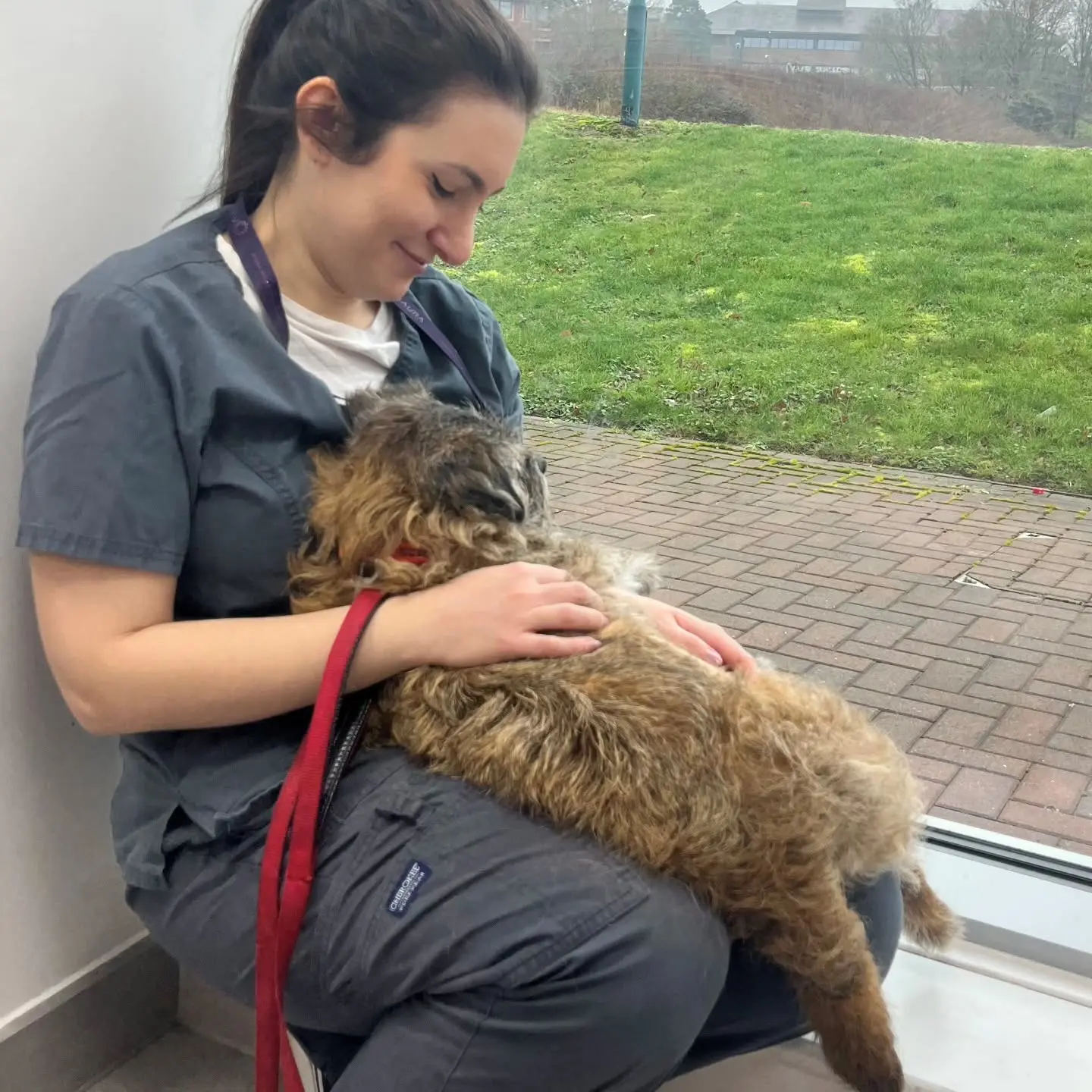 Little Elvis came in for his consultation today with our medical oncology team and immediately made himself at home! Elv…