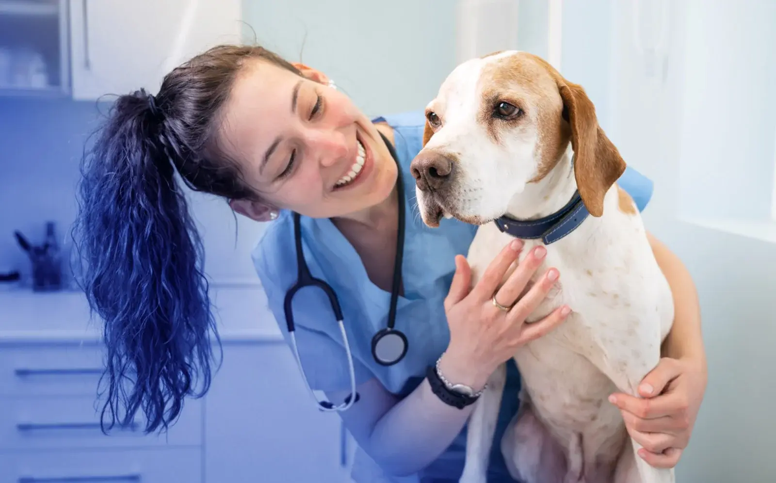 Two By Two Veterinary Centre - Finchley practice photo
