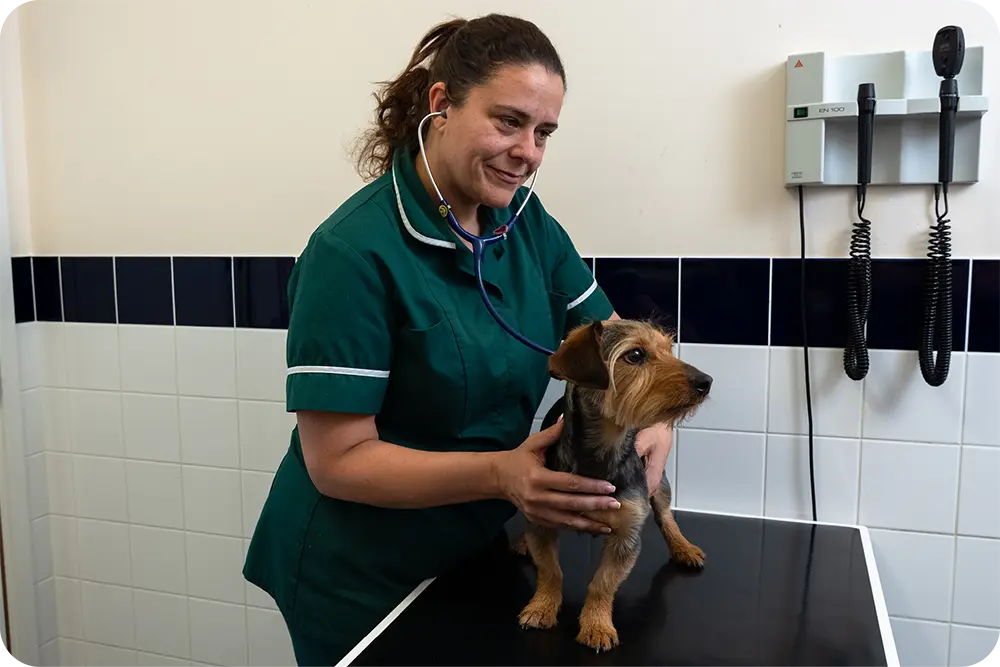 Pet Care Vets practice photo