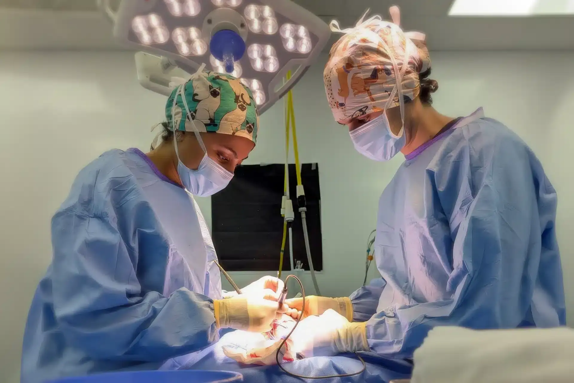 AURA Surgical Oncology Fellowship