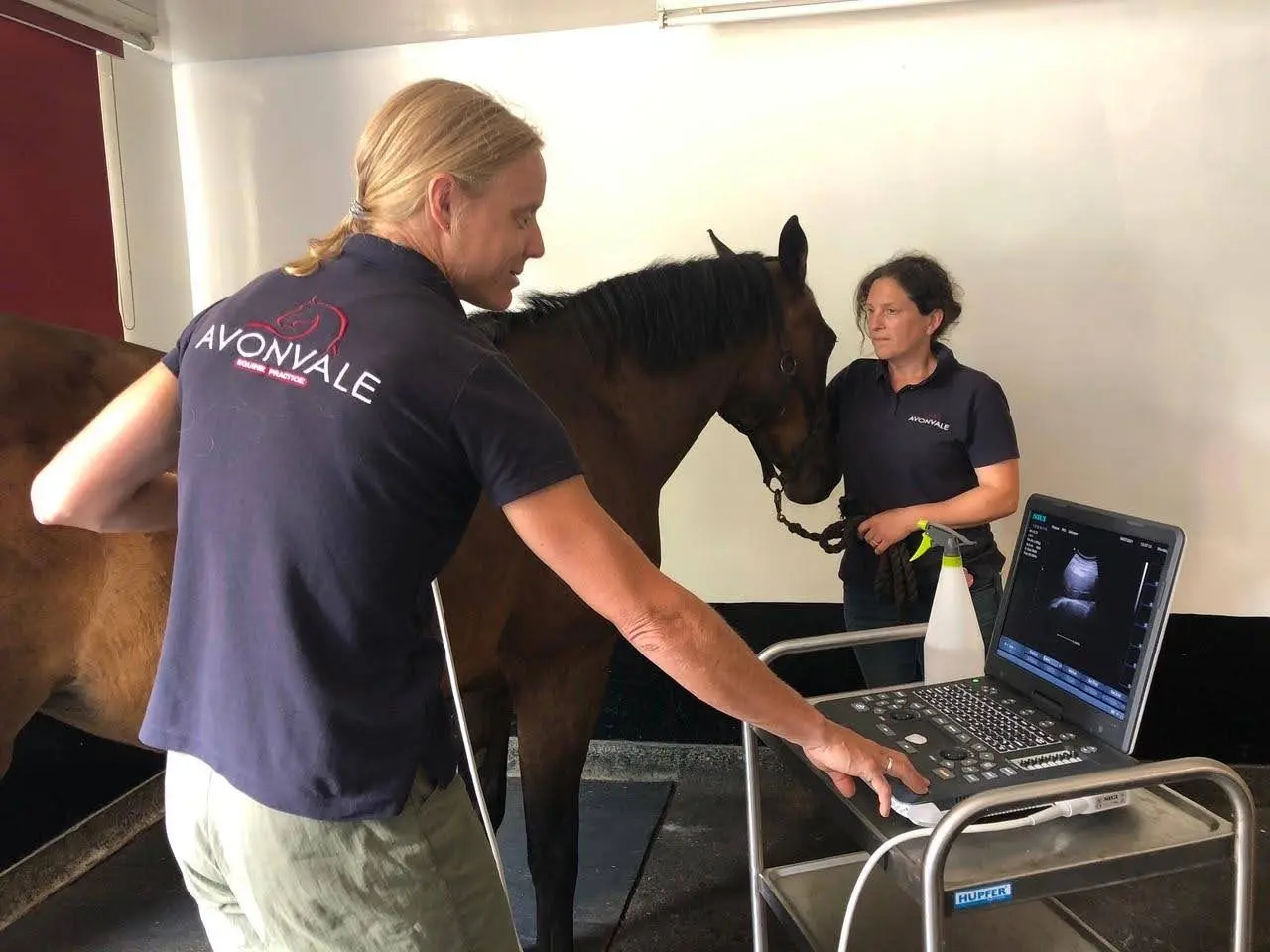 Avonvale Equine Vet Practice practice photo