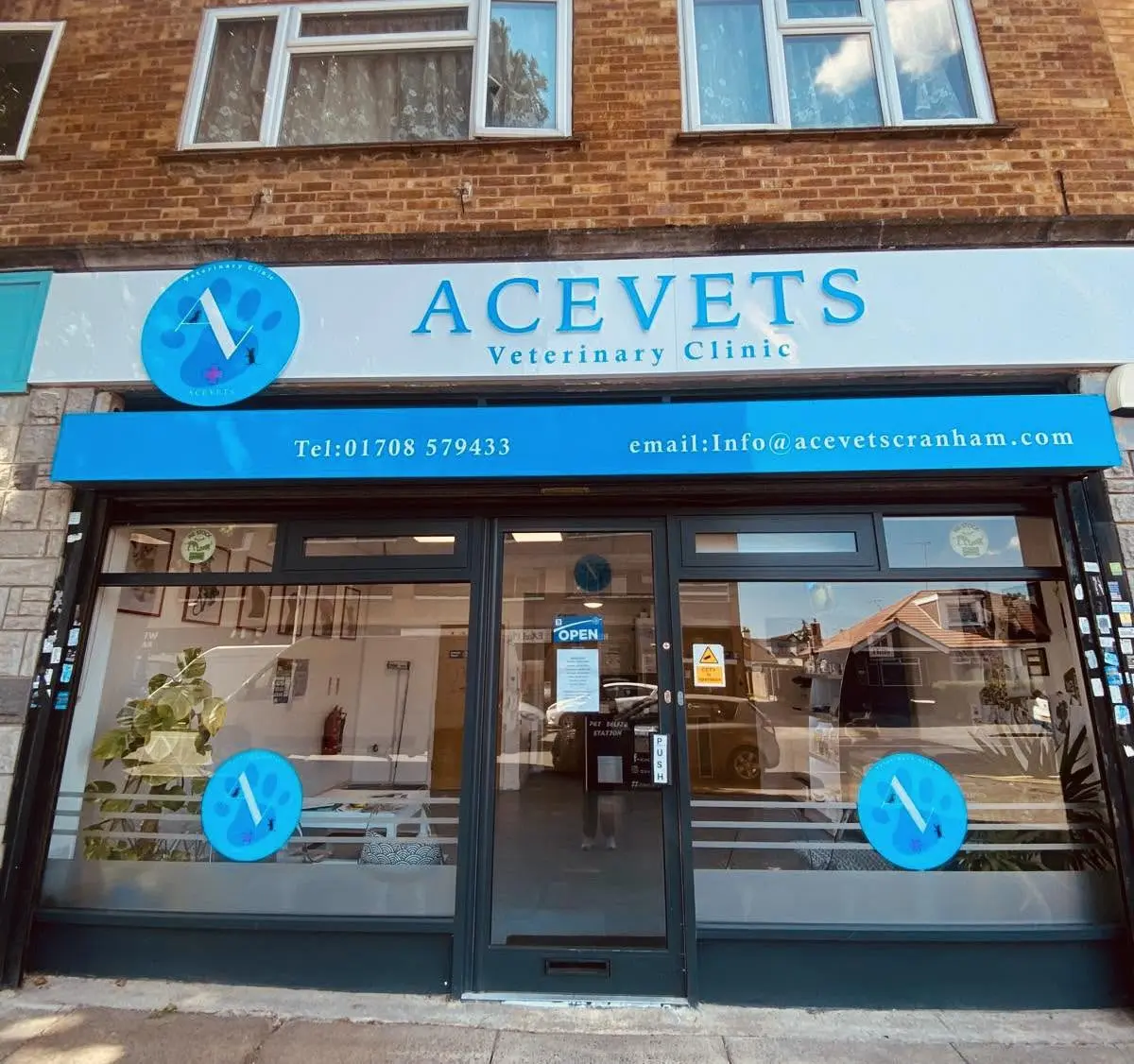 AceVets practice photo