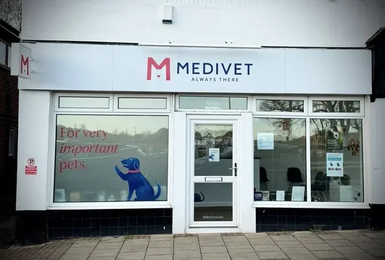 Medivet - Bromborough practice photo