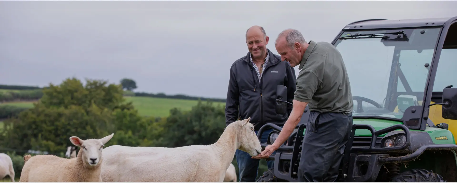 Castle Veterinary Group - Liskeard practice photo
