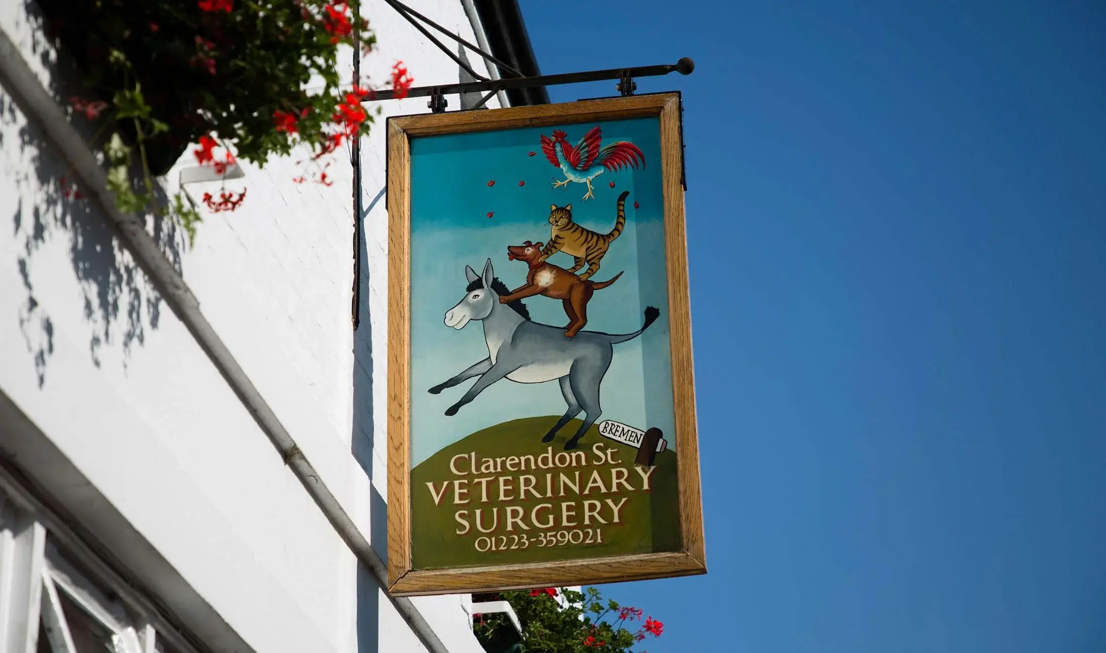 Sign for Clarendon Street Veterinary Surgery featuring cartoon animals, including a rooster flying above a tiger, a dog, and a donkey, with a blue sky background.