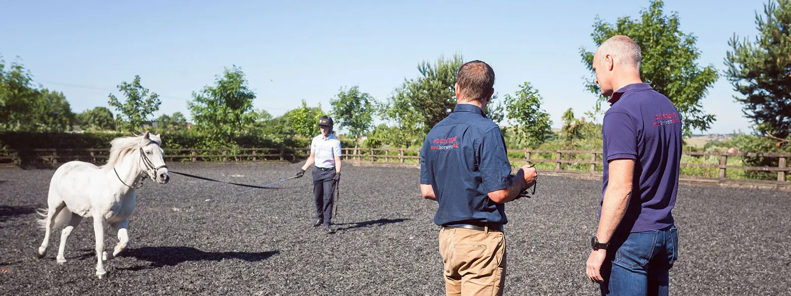 Agnew Equine practice photo