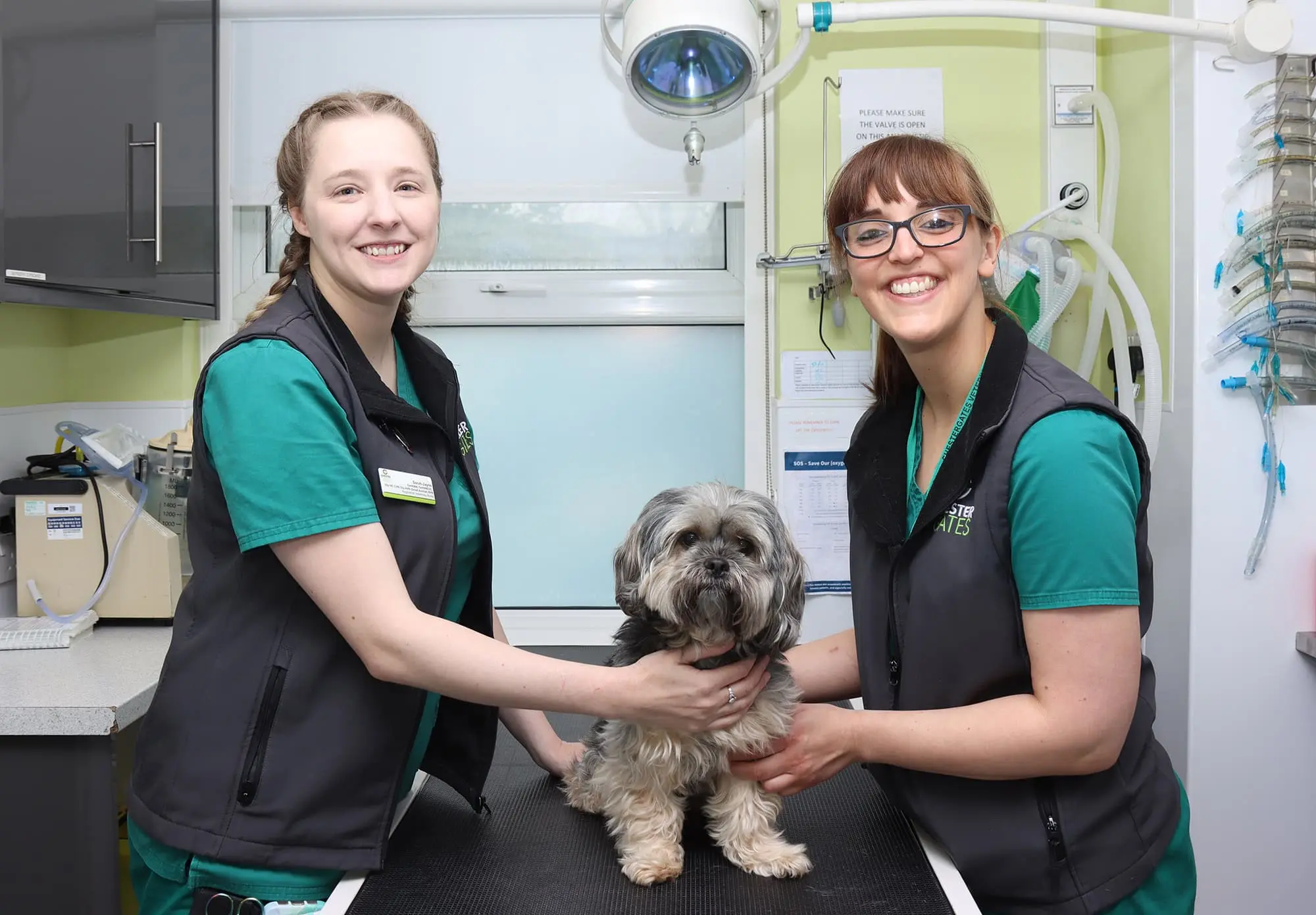 ChesterGates Veterinary Specialists practice photo 2