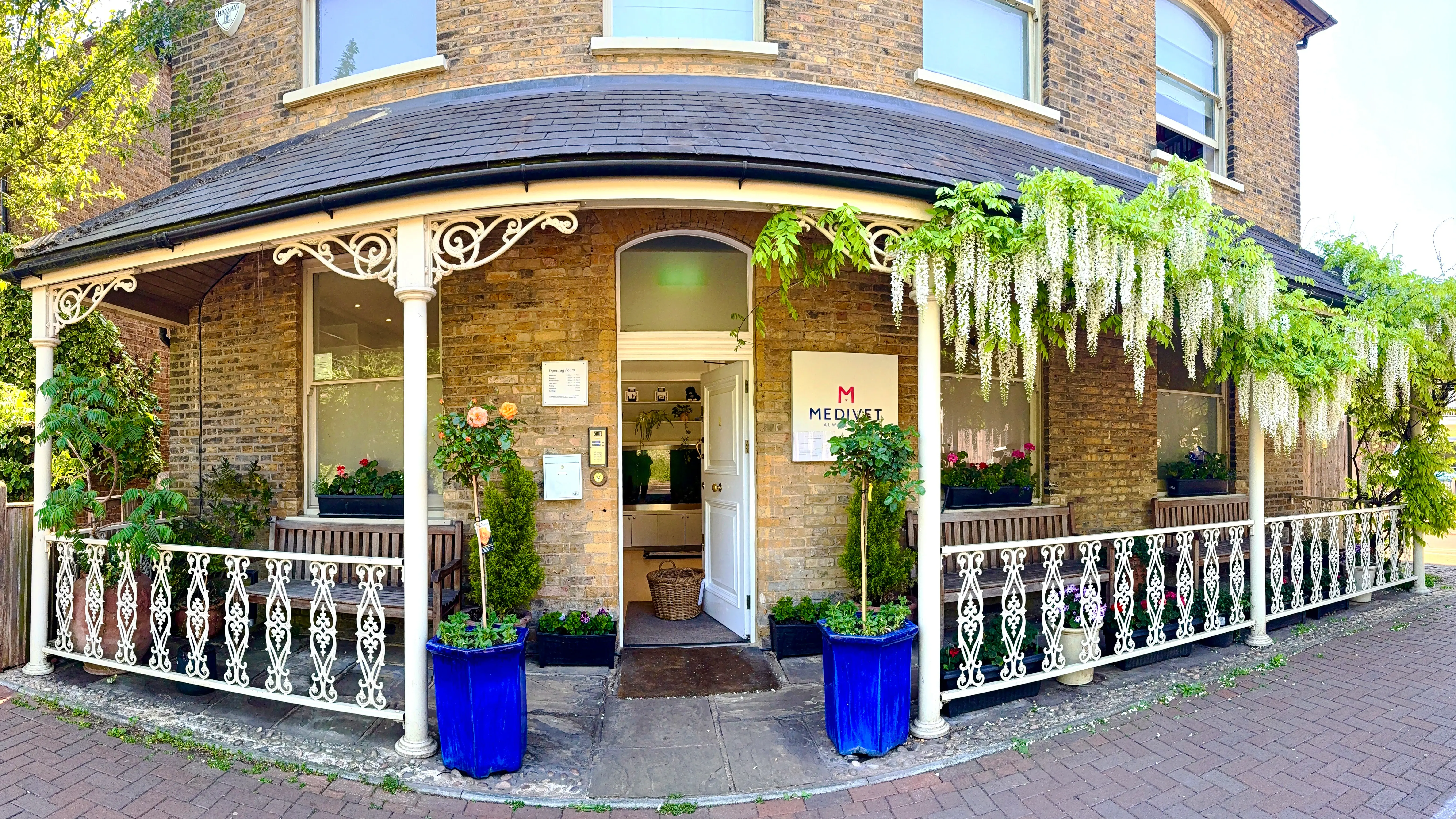 Medivet - Roehampton (Roehampton Veterinary Clinic) practice photo