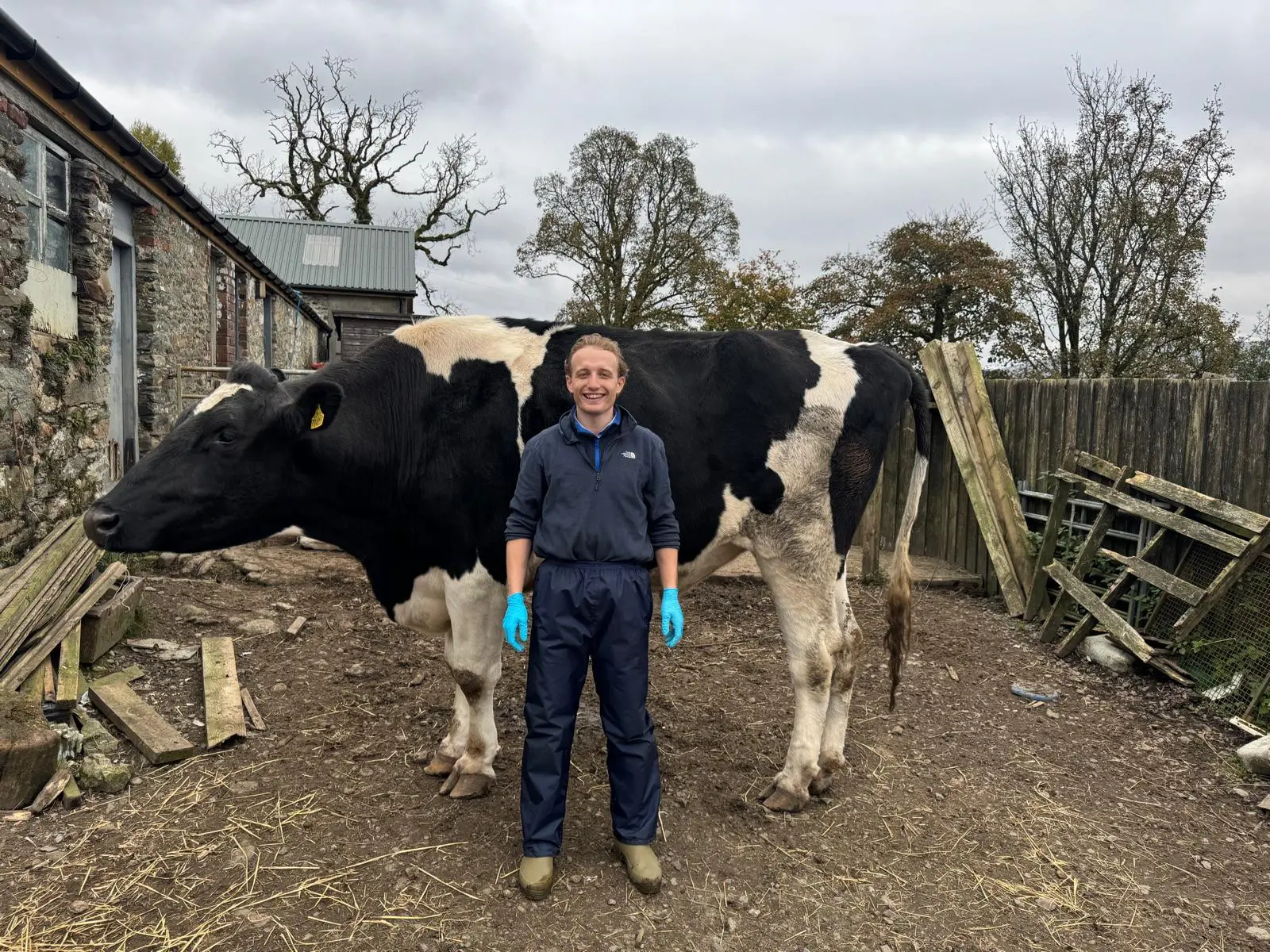 Endrick Vets practice photo