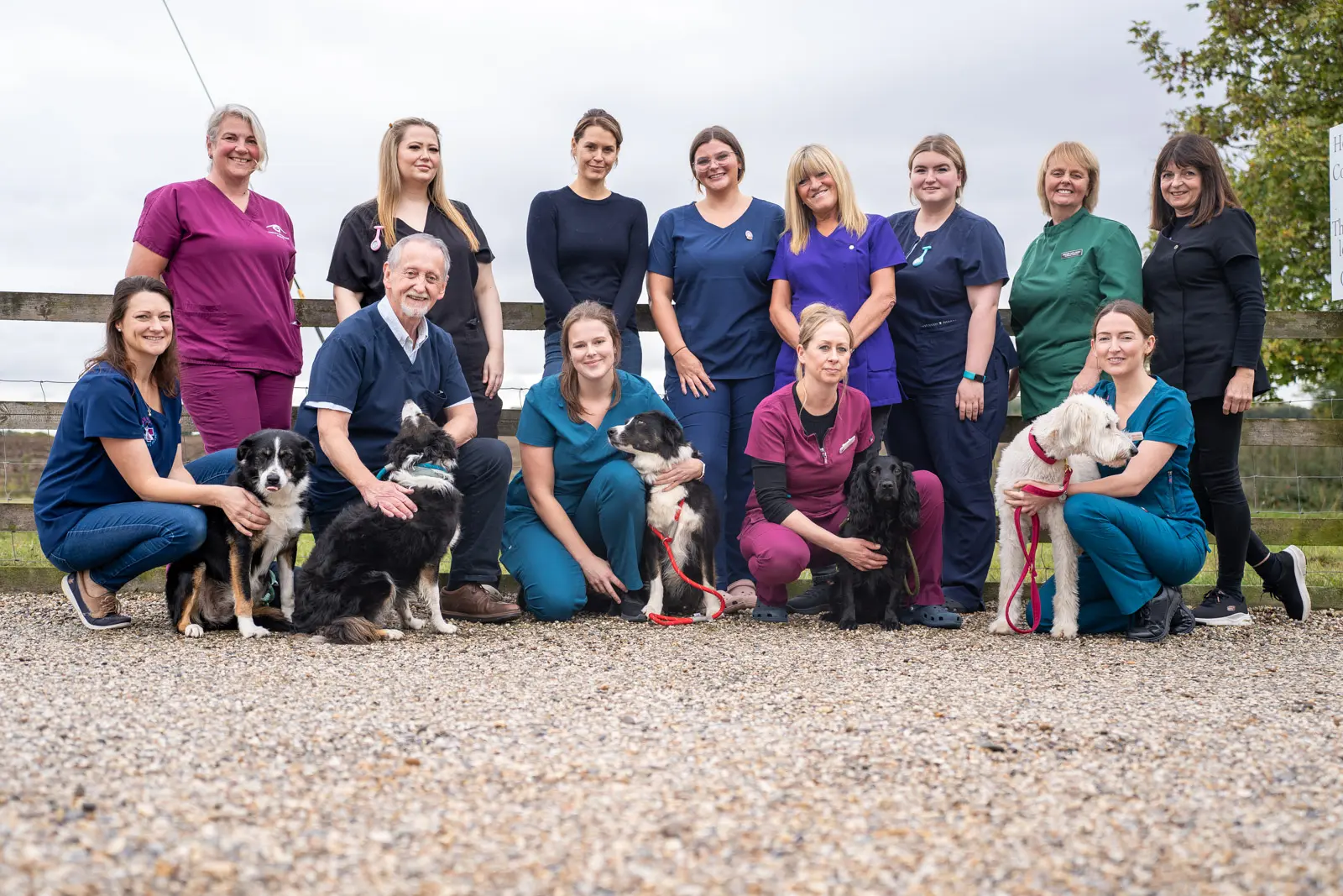 A group of people standing outdoors, some crouching beside sitting dogs. They are wearing colorful uniforms, suggesting they might be veterinary staff. A wooden fence is in the background on a gravel surface, with trees visible in the distance.