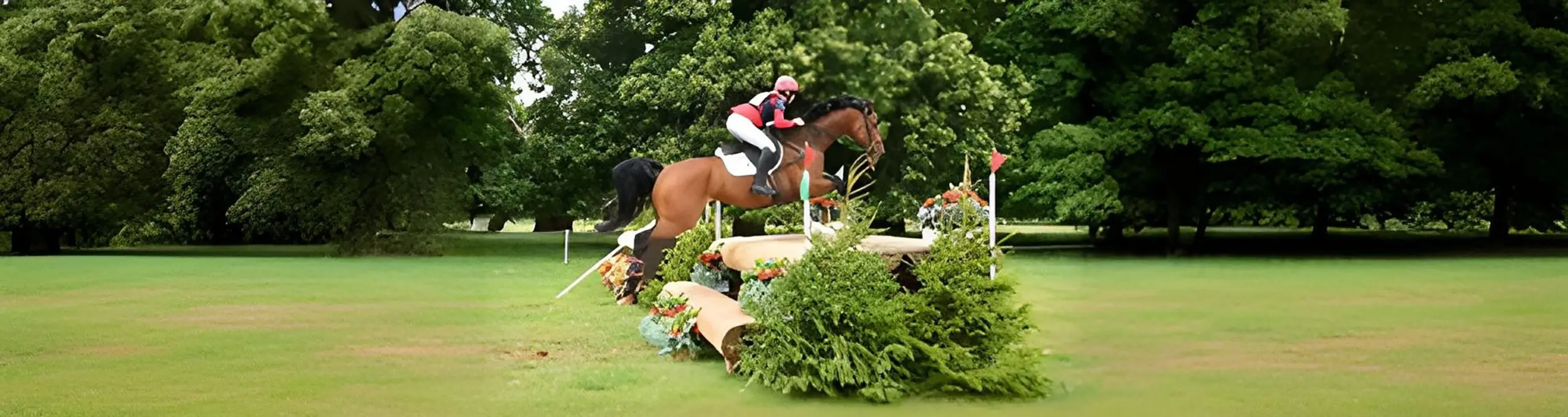 Western Counties Equine Hospital practice photo 3