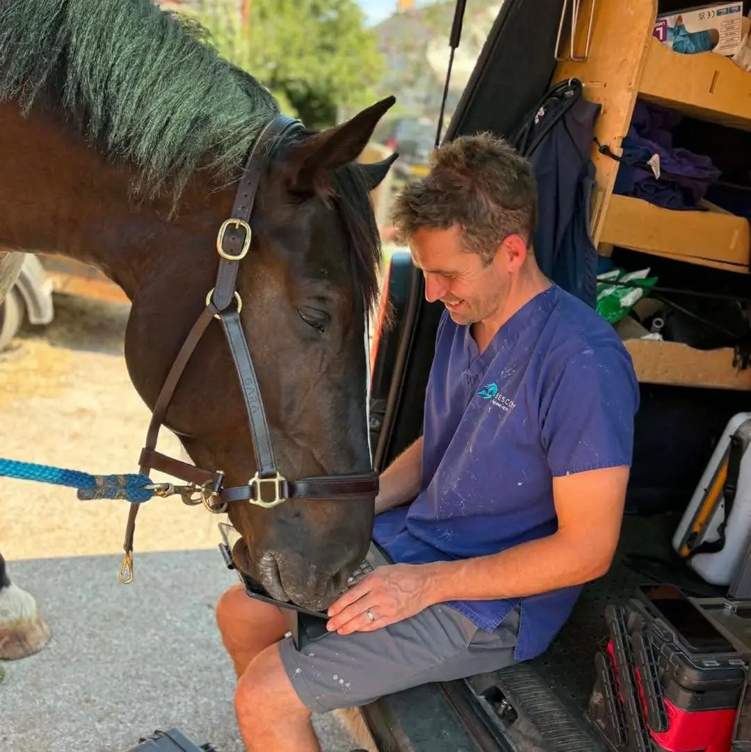 Bescoby Equine Dental Vets practice photo