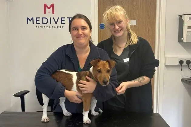 Medivet - Abingdon (Fraser Veterinary Surgery) practice photo