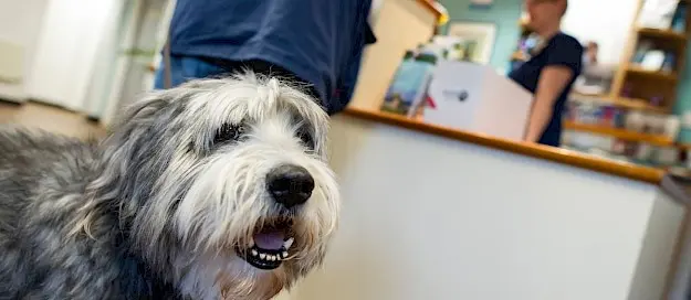 Rushcliffe Veterinary Centre practice photo