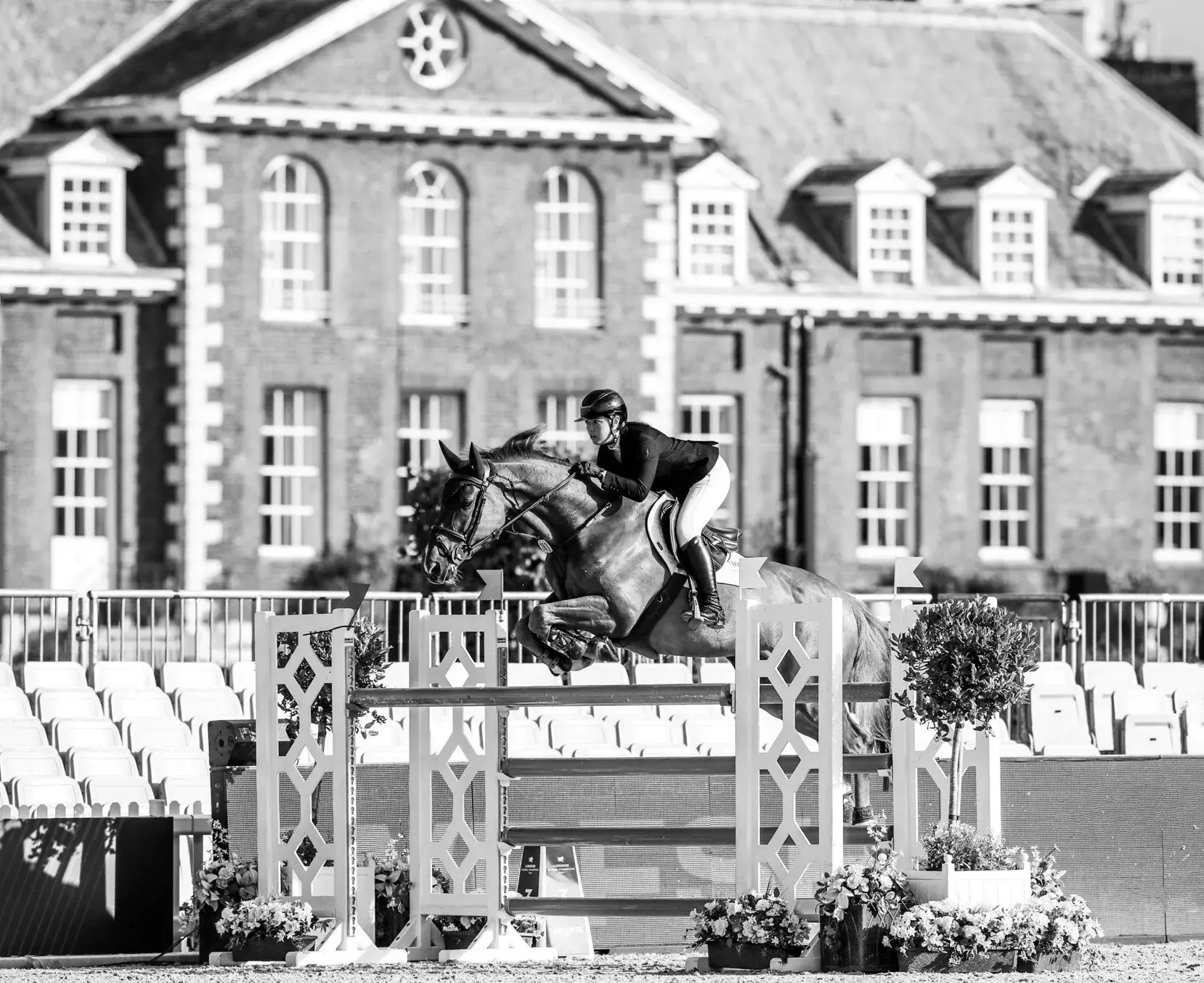 Elite Equine Clinic practice photo