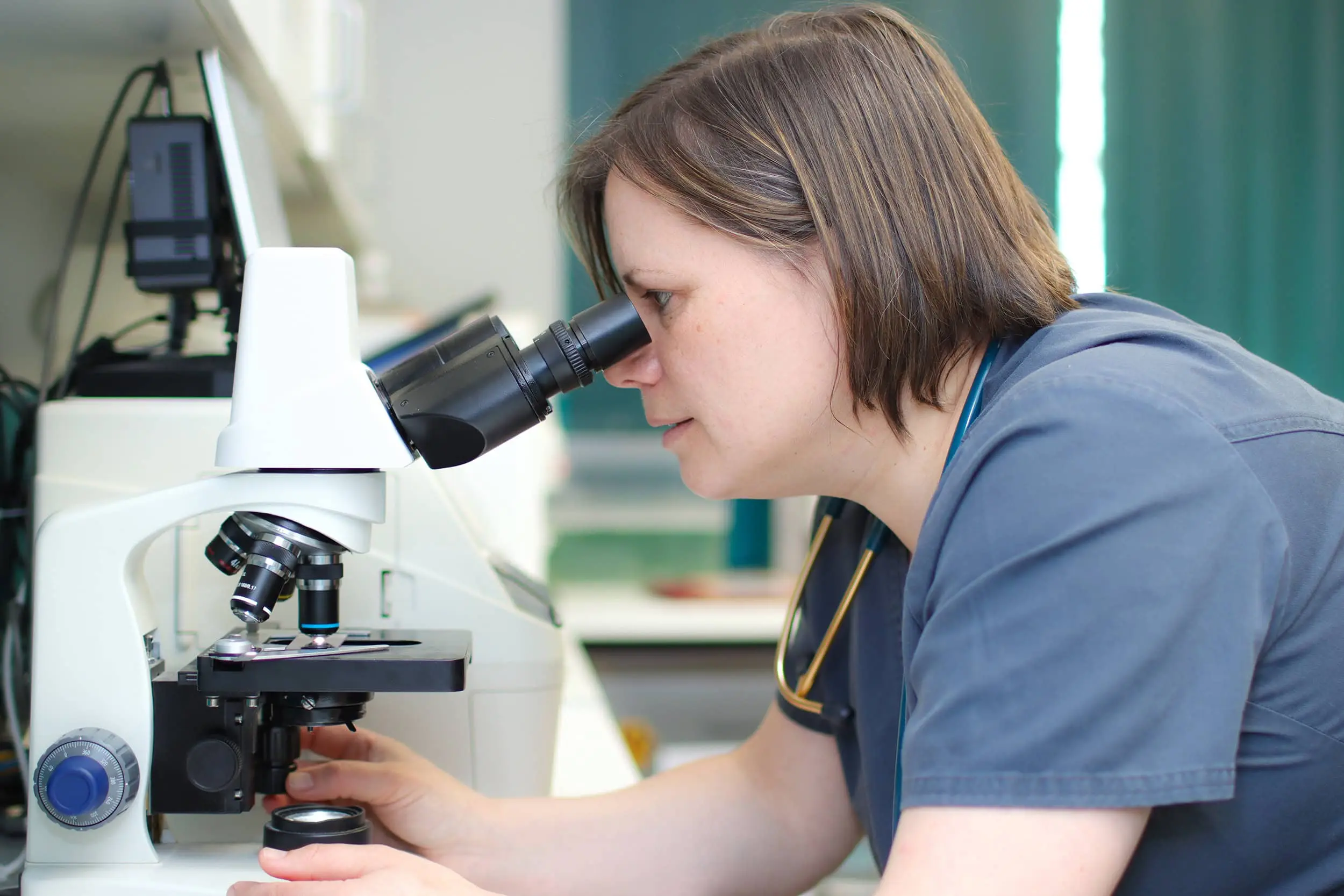 Northern Ireland Veterinary Specialists practice photo 3