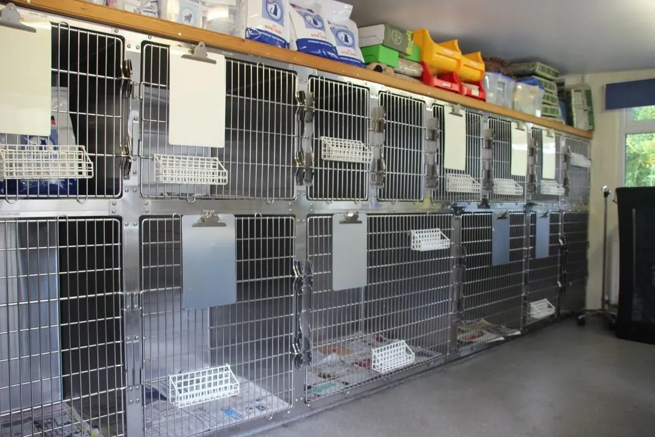 Anwell Veterinary Centre - Caterham practice photo 4