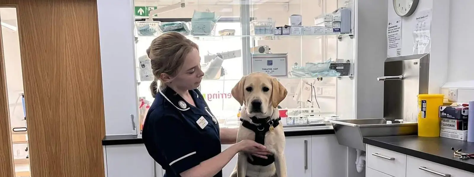 Ferring Street Veterinary Surgery (East Preston) practice photo
