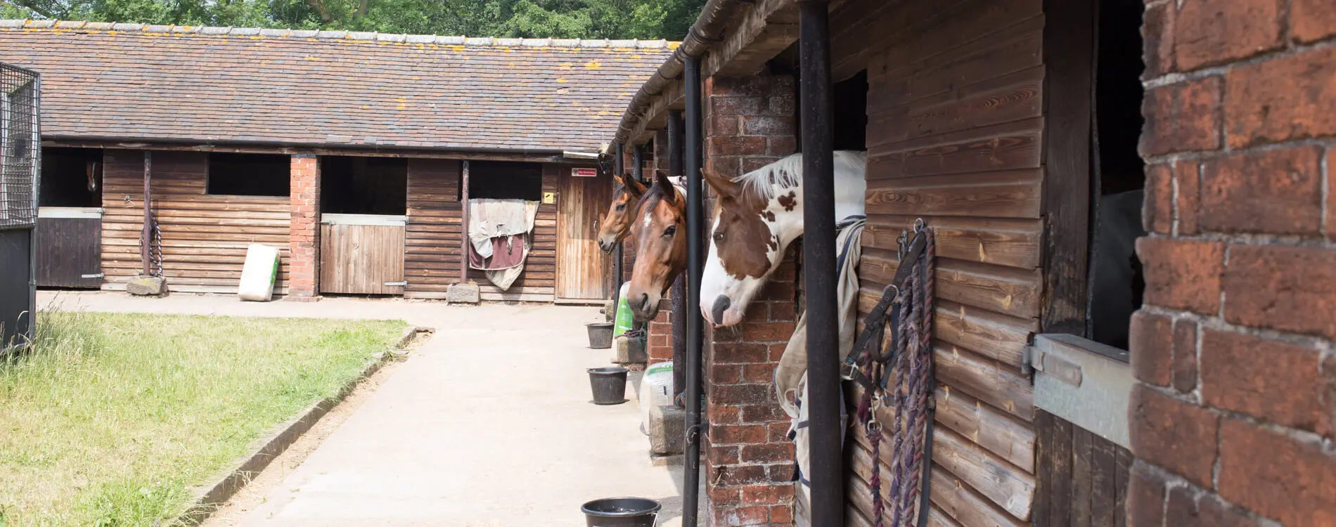 Connaught House Vets - Equine Centre practice photo