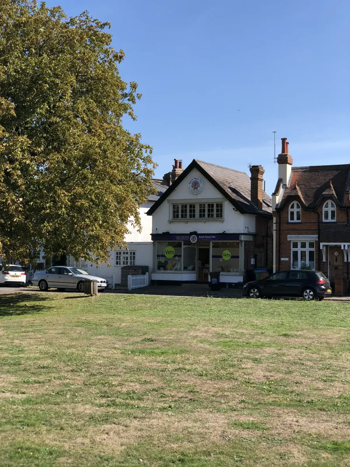 Beech House Vets - Thames Ditton practice photo