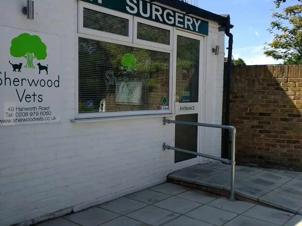 Sherwood Vets - Hampton practice photo