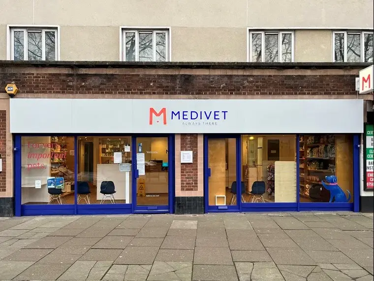 Medivet - Canonbury practice photo