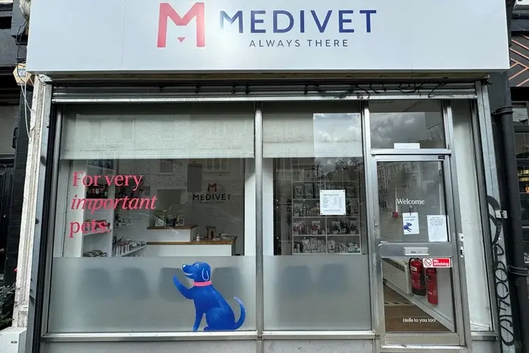 Medivet - Notting Hill practice photo