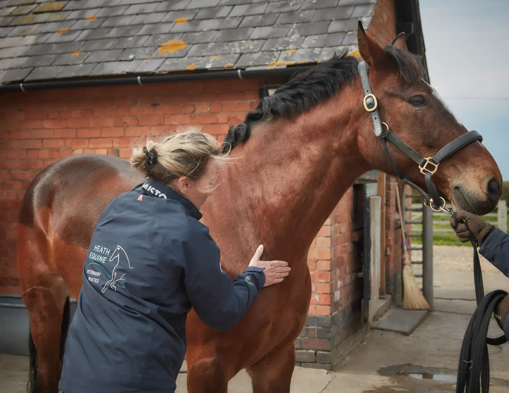 Heath Equine Veterinary Practice practice photo